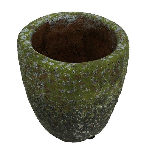 Floristik24 Jardinière avec mousse Ø10cm H10.5cm 4pcs