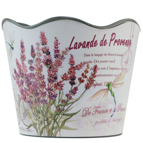 Floristik24 Jardinière pot de fleur plastique été lavande Ø16,5cm H13,5cm