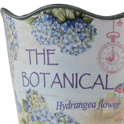 Article Jardinière pot de fleur hortensia plastique Ø13,5cm H12cm