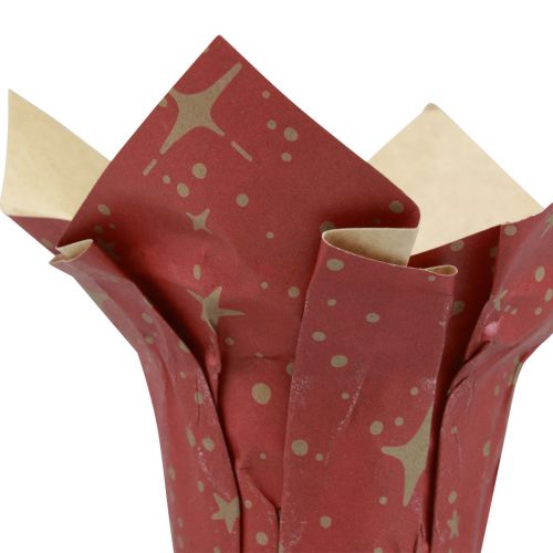 Article Jardinière papier étoiles rouge/anthracite/naturel Ø12cm H12cm 9pcs