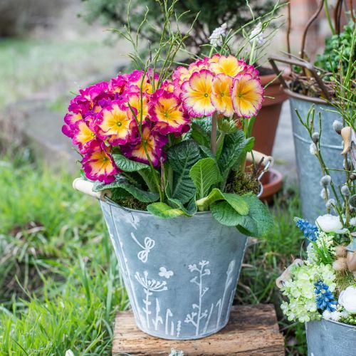 Floristik24 Jardinière jardinière seau métal déco vintage Ø18cm H17.5cm