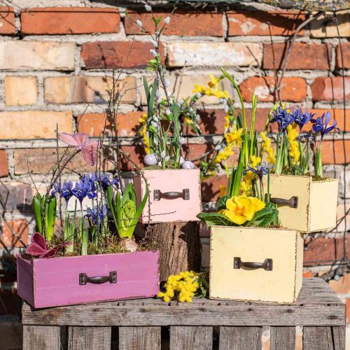 Floristik24 Jardinière tiroir bois déco violet 25×13×9cm