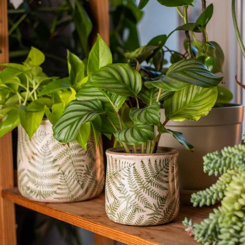 Floristik24 Jardinière faïence fougère cache-pot céramique Ø15/10,5cm lot de 2