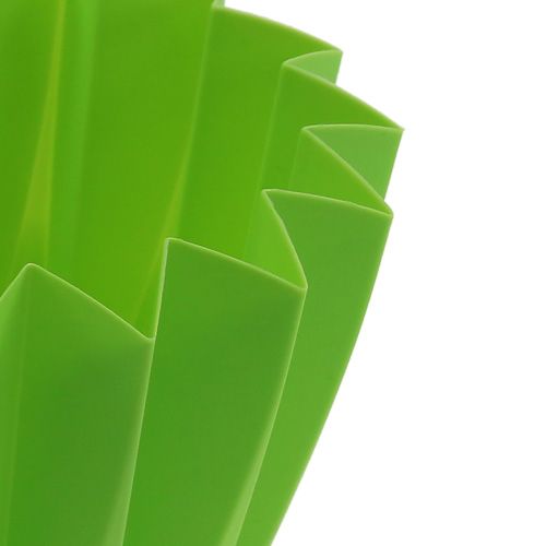 Floristik24 Pot Adonis Vert 14cm 20 pcs