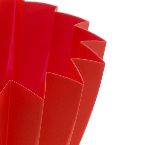 Floristik24 Pot Adonis Rouge 11cm 20 pcs