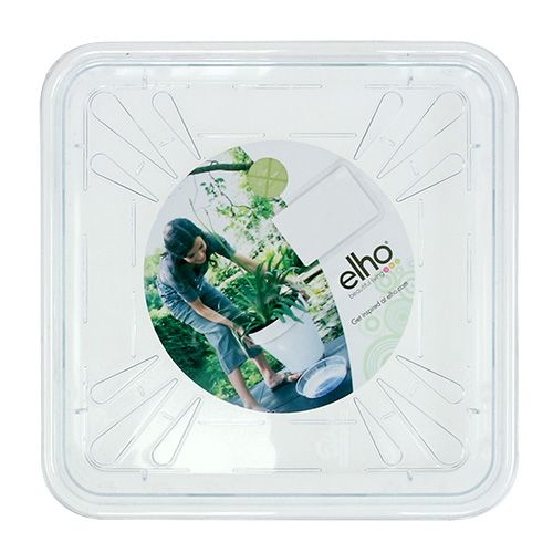 Floristik24 Coupelle 20cm x 20cm transparent 1pc