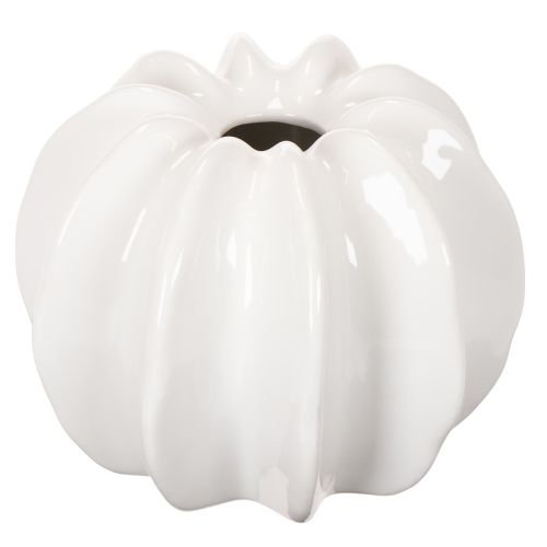 Vase décoratif en forme de citrouille blanche brillante 19 cm pour fleurs séchées | Floristik24.fr