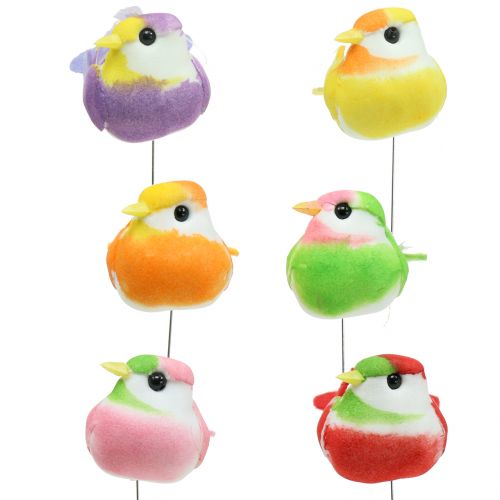 Floristik24 Oiseaux sur fil coloré 8cm 12pcs