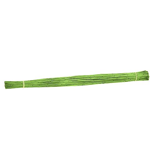 Floristik24 Vlei Roseau 400g vert clair