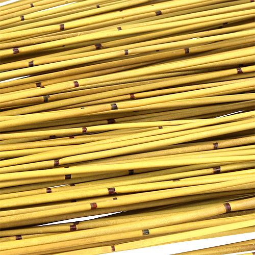 Floristik24 Vlei Roseau 400g jaune