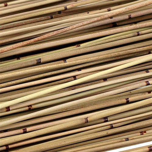 Floristik24 Vlei Reed 400g naturel