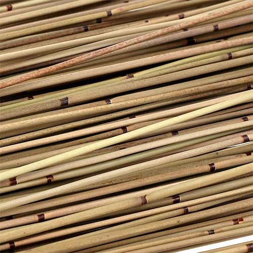 Article Vlei Reed 400g naturel