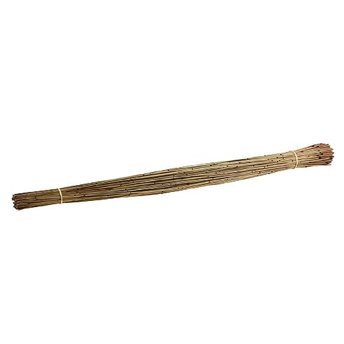 Floristik24 Vlei Reed 400g naturel