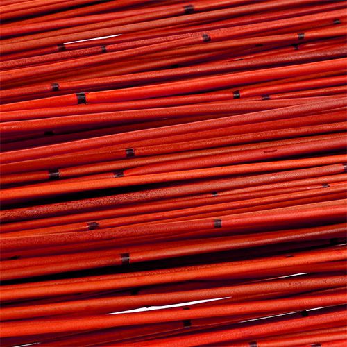 Floristik24 Vlei Roseau 400g Rouge