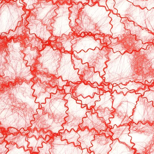 Floristik24 Chemin de table rouge intissé 30 cm x 25 m