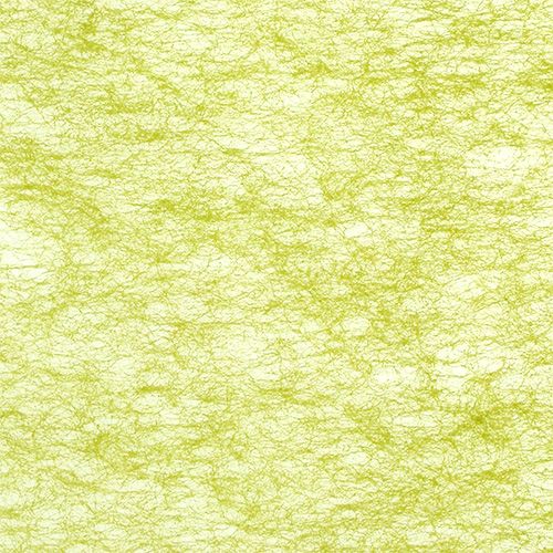 Floristik24 Polaire vert olive 23cm 25m