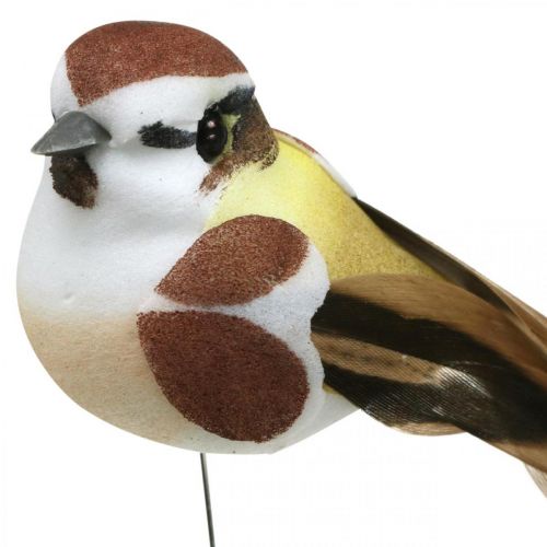 Floristik24 Décoration printanière, oiseaux sur fil, oiseau artificiel marron, blanc H3cm 12pcs