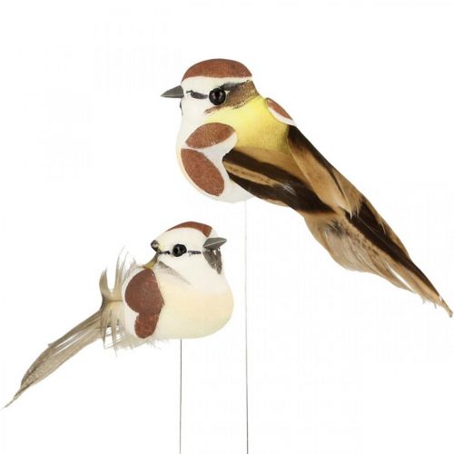 Floristik24 Décoration printanière, oiseaux sur fil, oiseau artificiel marron, blanc H3cm 12pcs