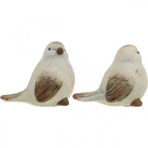 Floristik24 Oiseaux en céramique, ressort, oiseaux déco blanc, marron H7/7.5cm 6pcs