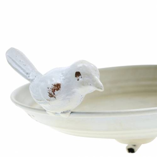 Floristik24 Mangeoire à oiseaux en métal crème, grille Ø21cm H27cm