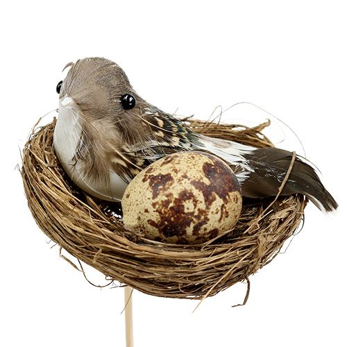 Floristik24 Nid d'oiseau sur bâton Ø7cm L24cm 6pcs