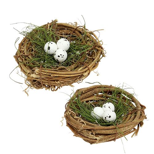 Floristik24 Nid d’oiseau avec des œufs Ø9cm 6P