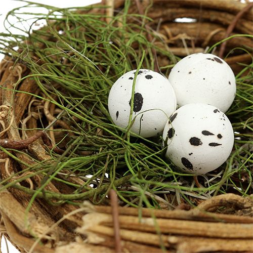 Floristik24 Nid d’oiseau avec des œufs Ø9cm 6P