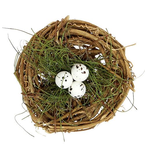 Floristik24 Nid d’oiseau avec des œufs Ø9cm 6P