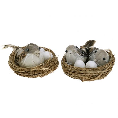Floristik24 Nid d'oiseau avec oeufs et oiseau 6pcs