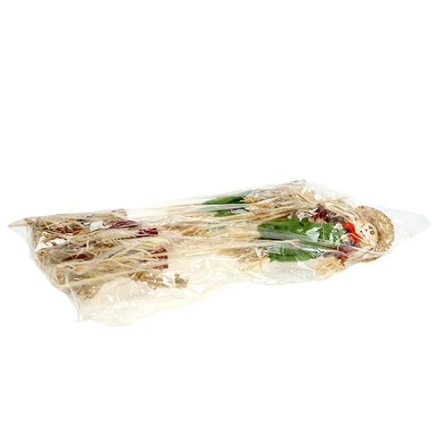 Floristik24 Épouvantails décoratifs en couleurs 26 cm L. 51 cm 8 p.