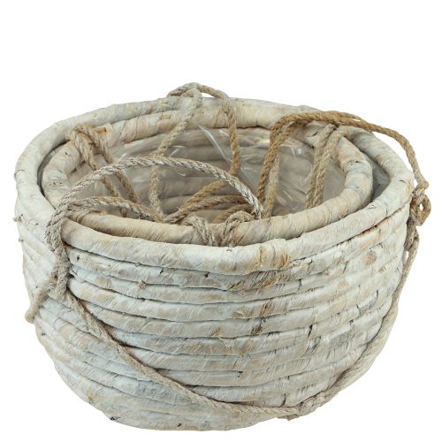 Article Panier à suspendre jacinthe d'eau blanc 25/31cm lot de 2