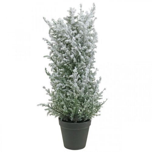 Floristik24 Genévrier artificiel en pot, plante artificielle H47cm