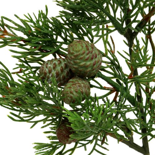 Floristik24 Branche de genévrier avec des cônes verts 39cm 3pcs