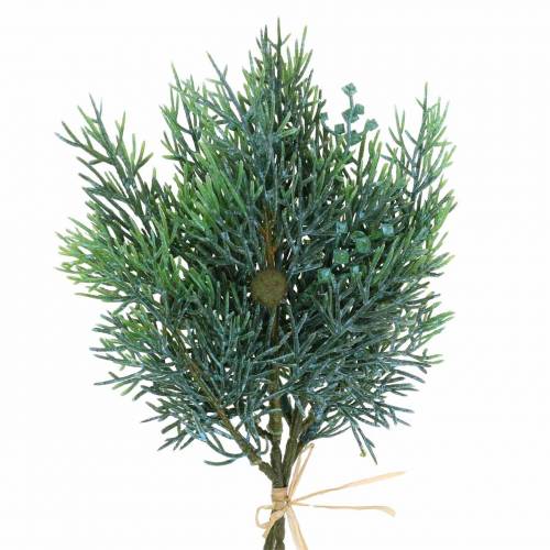Floristik24 Branche déco genévrier avec cônes vert, bleu délavé 25cm 2pcs