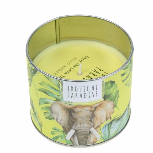 Floristik24 Bougie parfumée dans la boite forêt tropicale jaune Ø9.5cm H8cm