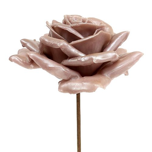 Floristik24 Cire mélange champagne rose Ø10cm 6 pcs