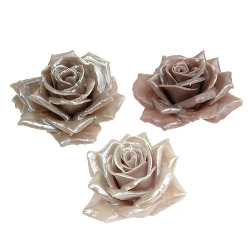 Cire mélange champagne rose Ø10cm 6 pcs