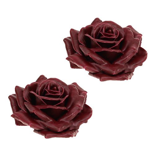 Floristik24 Cire rose rouge foncé Ø10cm 6pcs