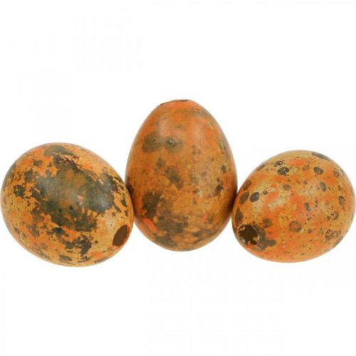 Floristik24 Oeufs de caille décoration oeufs soufflés orange abricot 3cm 50 pcs