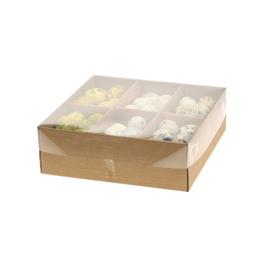 Floristik24 Oeufs de caille assortiment jaune, naturel 3cm 62pcs