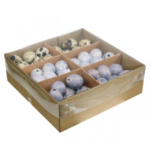 Floristik24 Mélange d'oeufs de caille violet, violet, oeufs vides nature comme décoration 3cm 65p