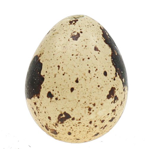 Floristik24 Oeufs de caille assortiment jaune, naturel 3cm 62pcs