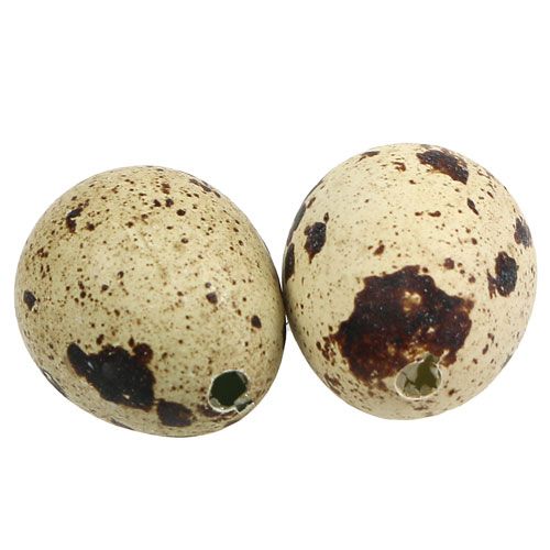 Floristik24 Oeufs de caille nature 3-3.5cm 12pcs
