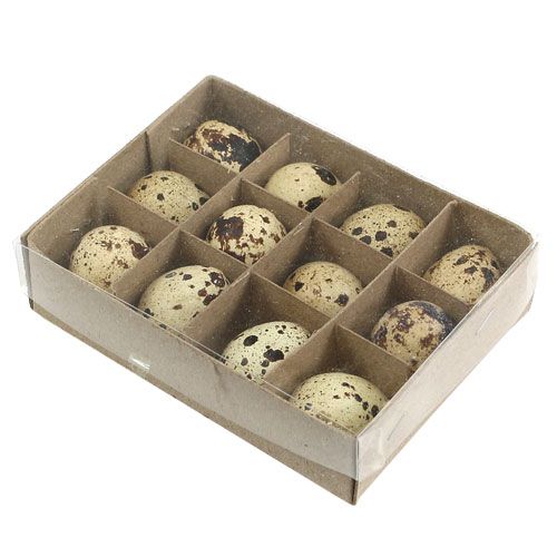Floristik24 Oeufs de caille nature 3-3.5cm 12pcs