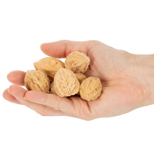 Noix décoratives naturelles 3-4 cm 300 g | Floristik24.fr