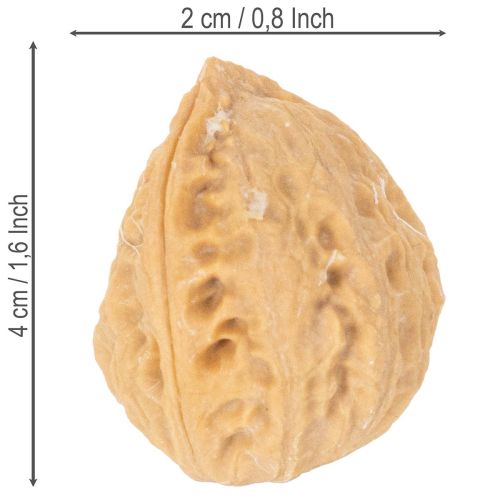 Noix décoratives naturelles 3-4 cm 300 g | Floristik24.fr
