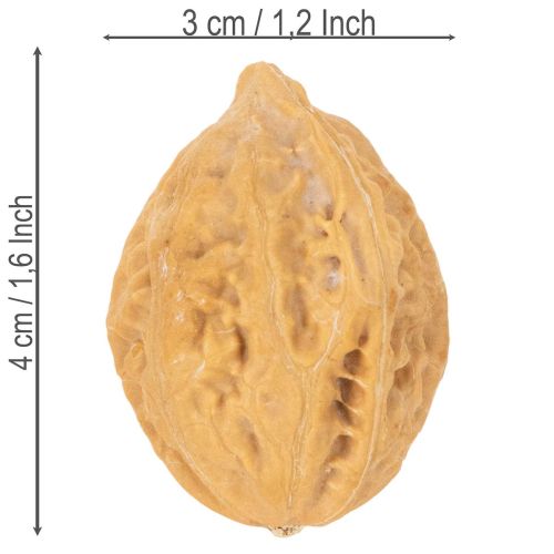 Coquilles de noix décoratives naturelles 4-5 cm, 300 g | Floristik24.fr