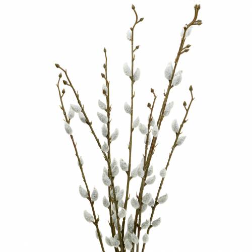 Floristik24 Bouquet d&#39;osier L54cm 3pcs