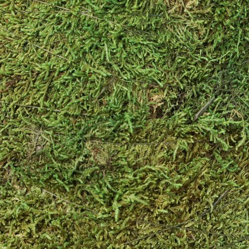 Article Décoration de sapin de Noël en mousse vert naturel Ø30cm H100cm