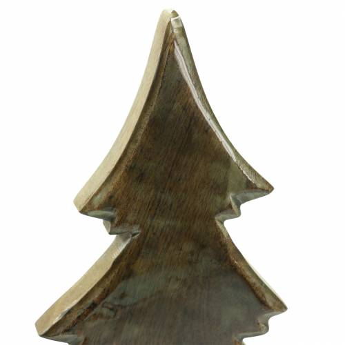 Floristik24 Bois de sapin vernissé naturel, manguier blanc H40,5cm